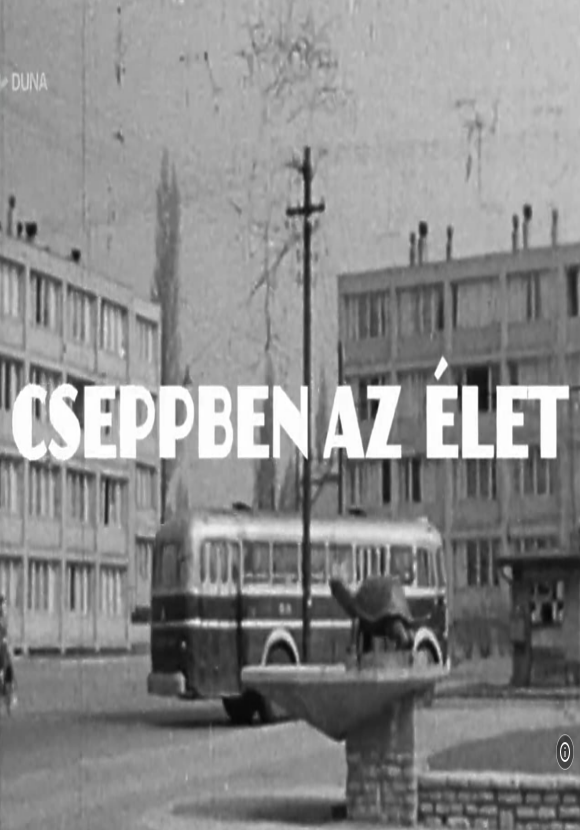 Cseppben az elet